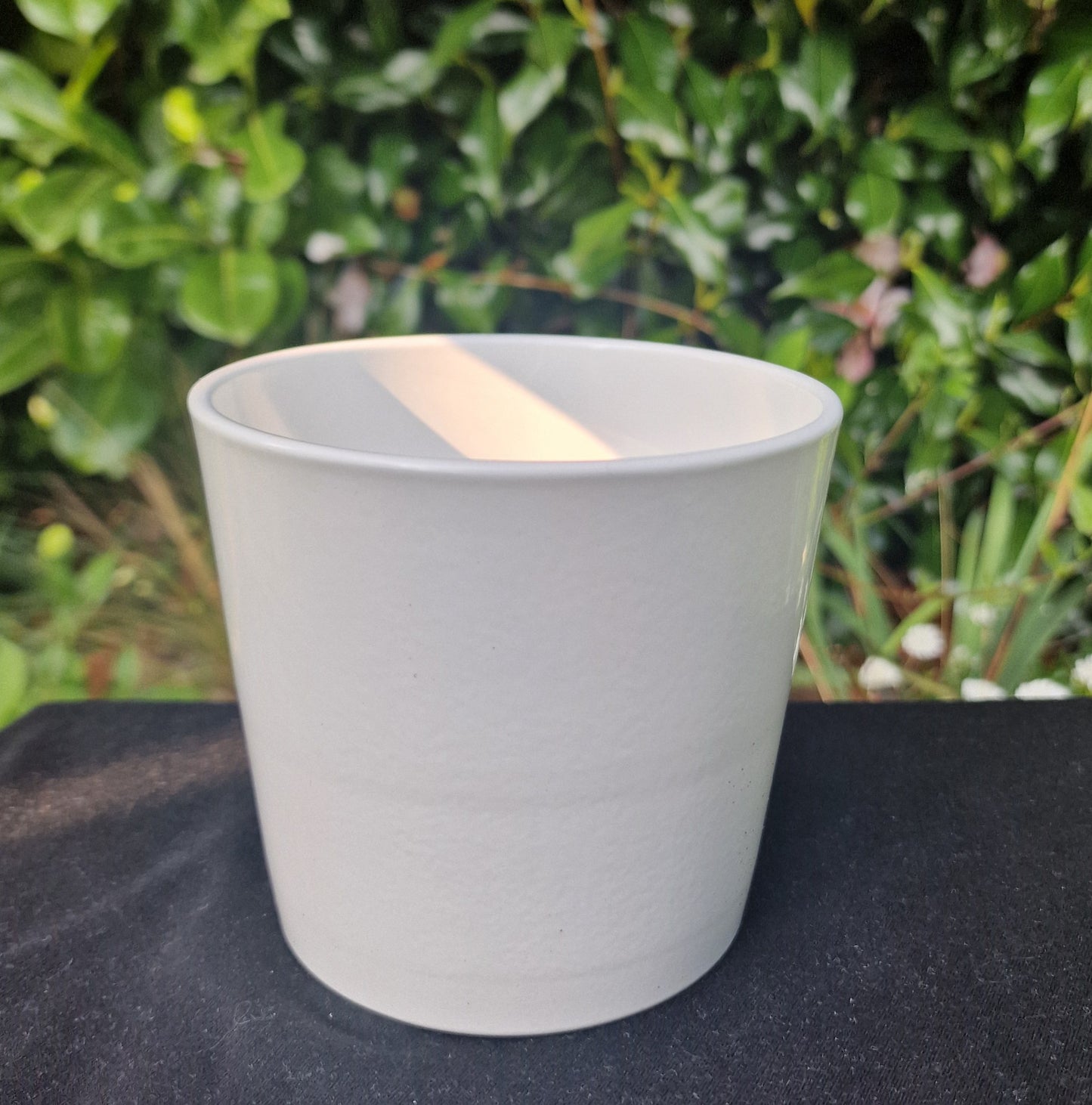 CUSTOM Plant Pot