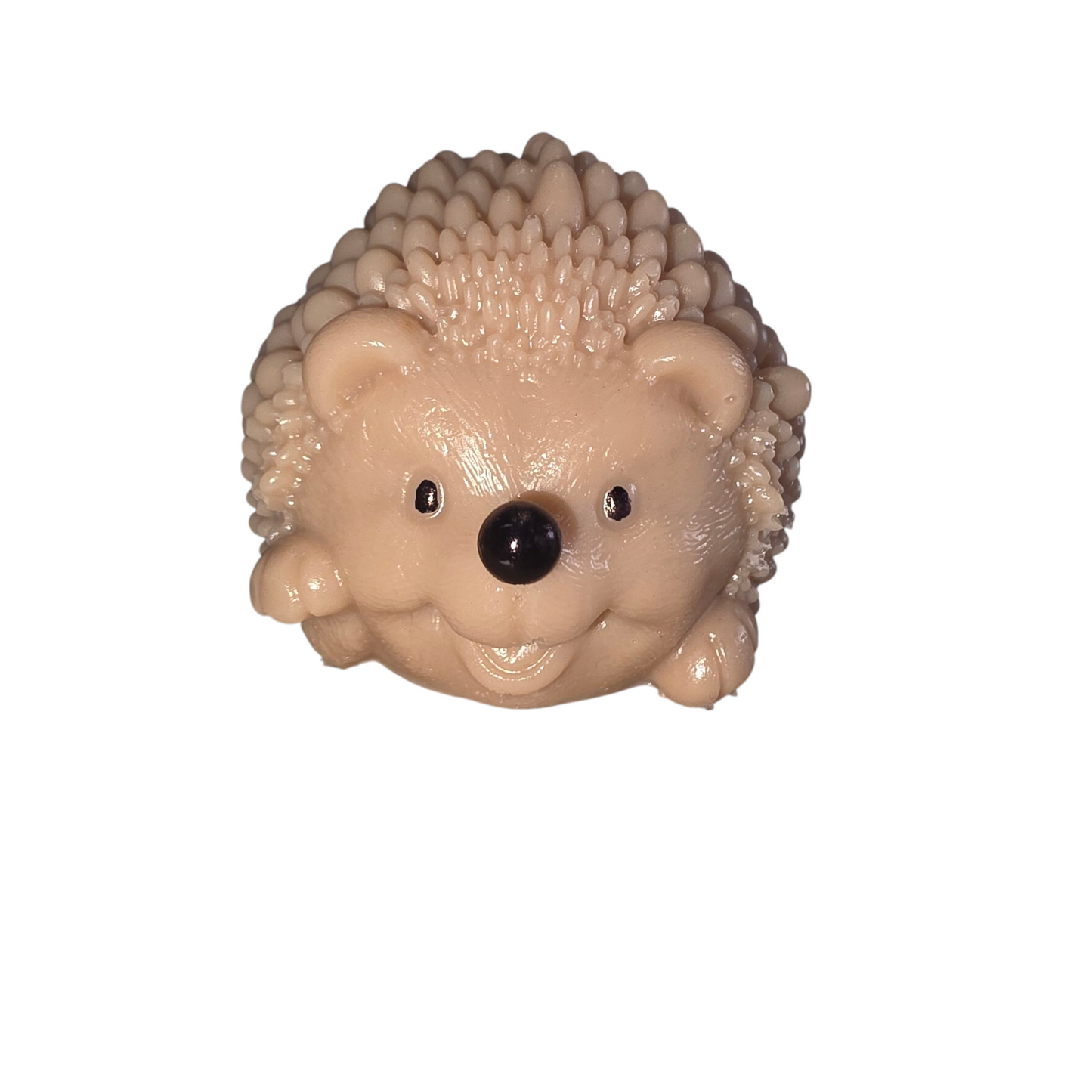 Custom Hedgehog (Picture is EXAMPLE only)