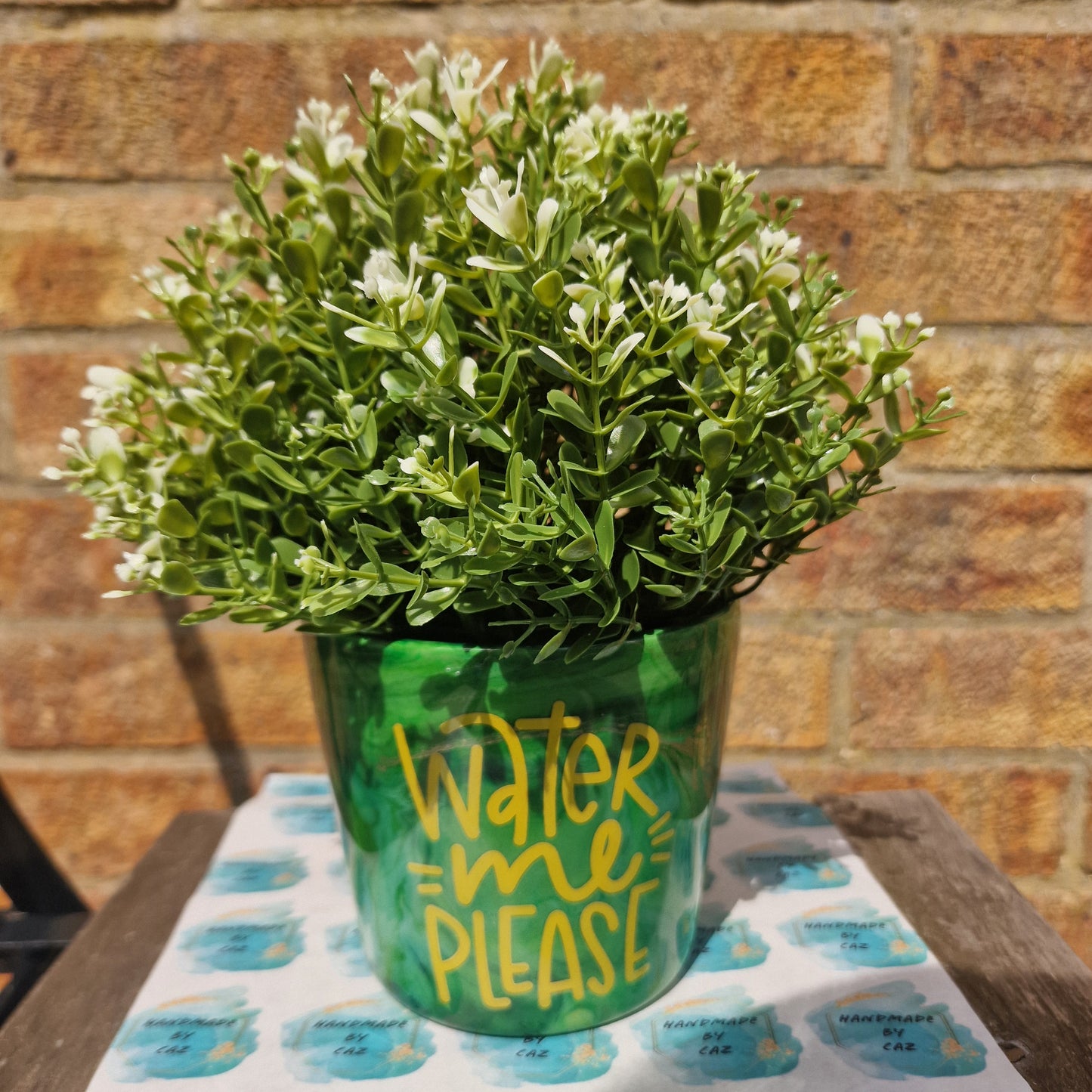Water Me Please - Plant Pot - READY TO SHIP