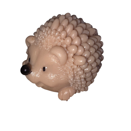 Custom Hedgehog (Picture is EXAMPLE only)