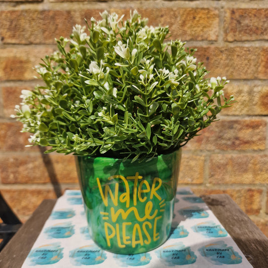 Water Me Please - Plant Pot - READY TO SHIP